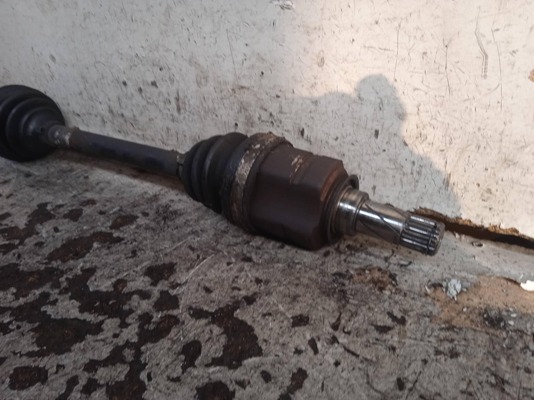 Semialbero ant. compl. sx.